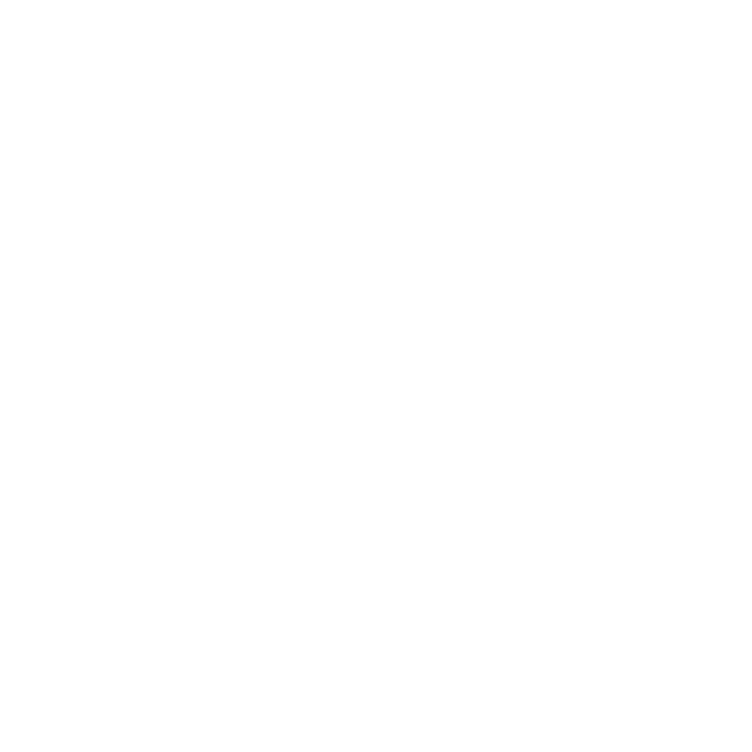 Toronto Tempo